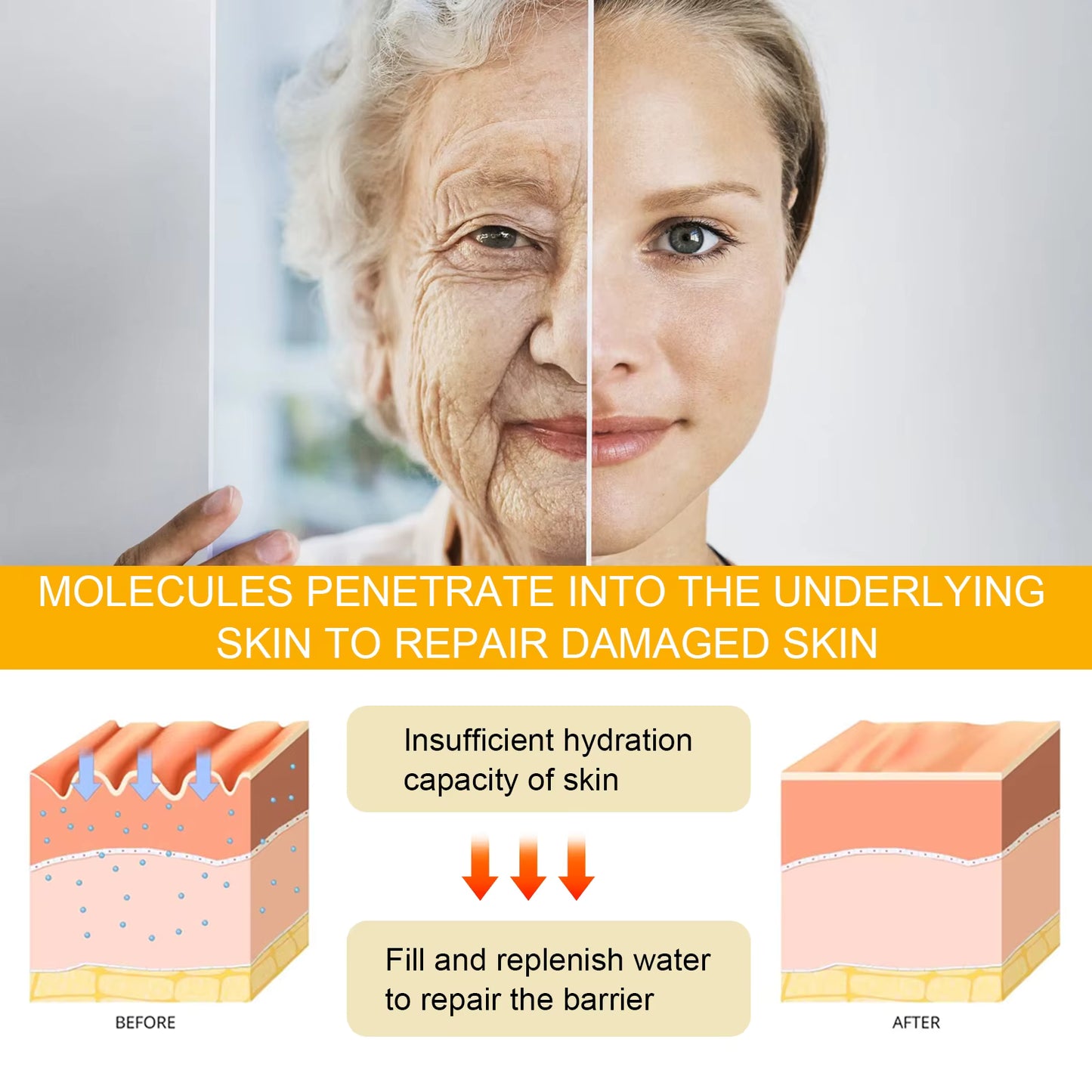 EELHOE Ginseng Anti-Wrinkle Essence – The Ultimate Youth-Restoring Luxury Serum